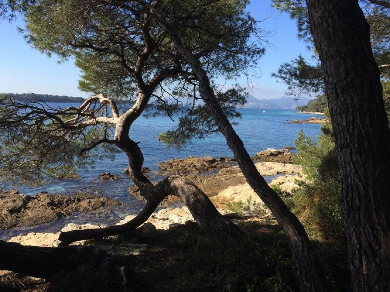 Cannes Design Vue Mer Ngoại thất bức ảnh